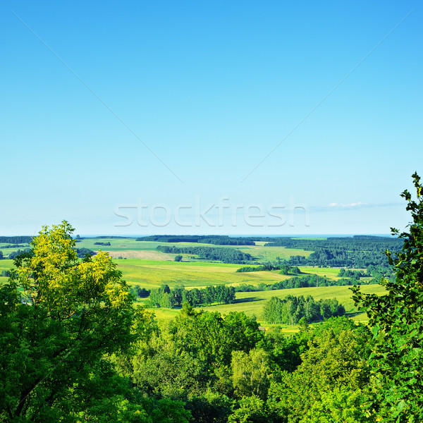 High Angle View Rural Landscape Stock photo © PetrMalyshev