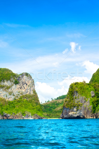 Tenger sziget dzsungel Krabi Thaiföld tengerpart Stock fotó © PetrMalyshev