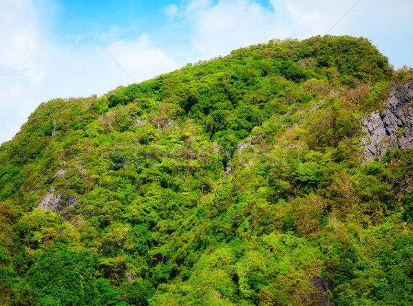 タイ 山 緑 木 クラビ タイ ストックフォト © PetrMalyshev