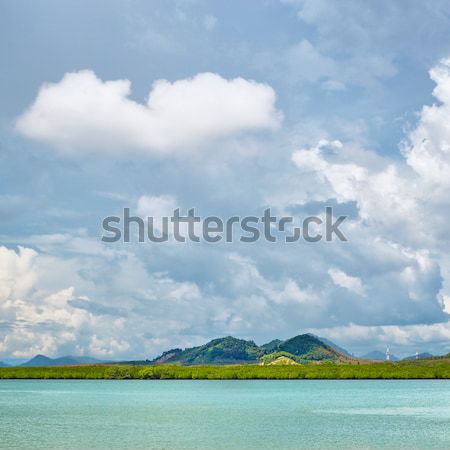 Wal tropisch strand zee Thailand strand water Stockfoto © PetrMalyshev