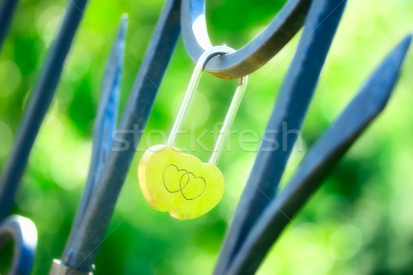 Love Lock Stock photo © PetrMalyshev
