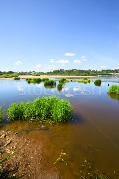 Calm River Stock photo © PetrMalyshev