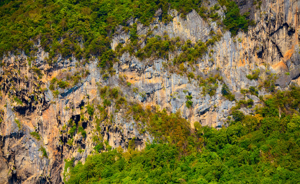Thai montagna verde alberi krabi Thailandia Foto d'archivio © PetrMalyshev