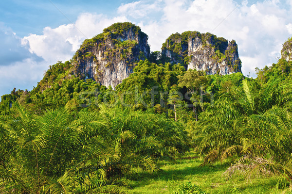 Thai hegyek zöld fák Krabi Thaiföld Stock fotó © PetrMalyshev