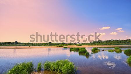 Calm River Stock photo © PetrMalyshev