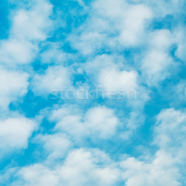 Cloudscape With Stratocumulus Clouds Stock photo © PetrMalyshev