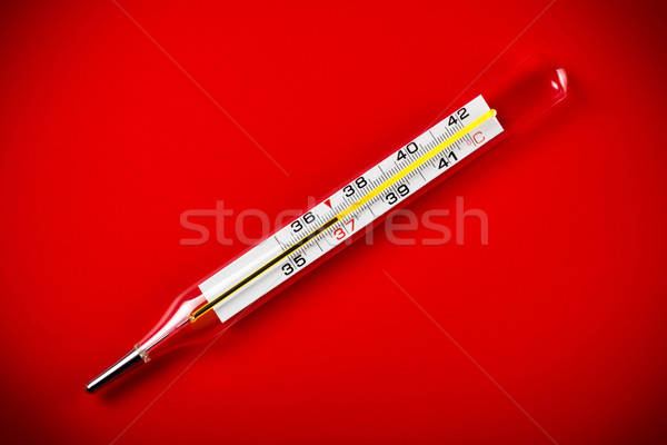 Hőmérő veszély hőmérséklet piros élet adat Stock fotó © PetrMalyshev
