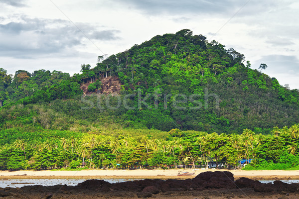 Andaman Shore Stock photo © PetrMalyshev