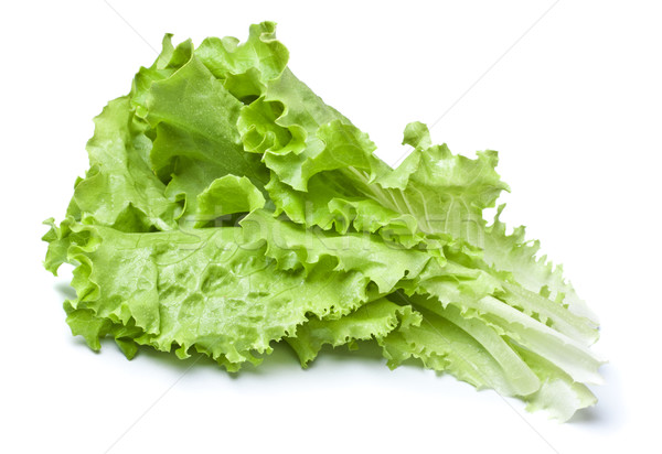 Stock photo: Green Lettuce