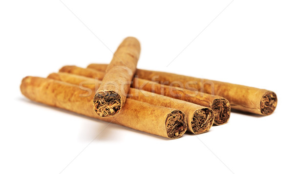 Pequeño cigarros aislado blanco textura Foto stock © PetrMalyshev