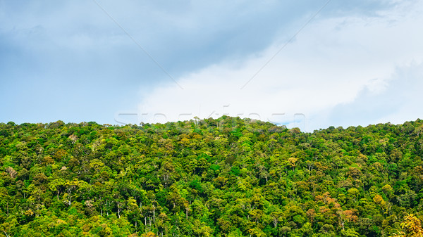Thai montagna verde alberi krabi Thailandia Foto d'archivio © PetrMalyshev