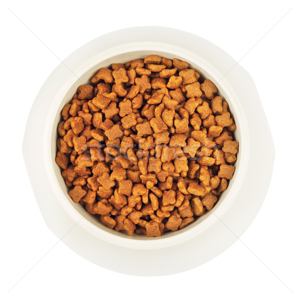 Dry Cat Food In White Bowl Stock photo © PetrMalyshev