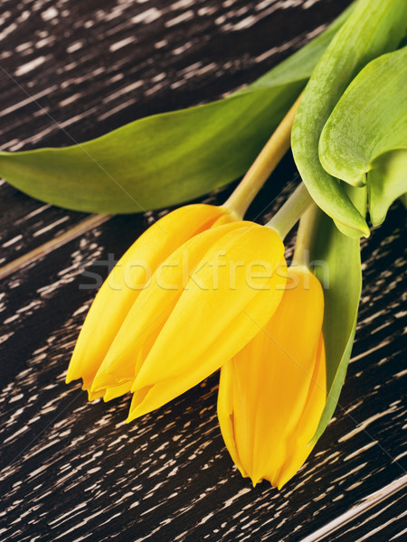 Yellow Tulip Flowers Stock photo © PetrMalyshev