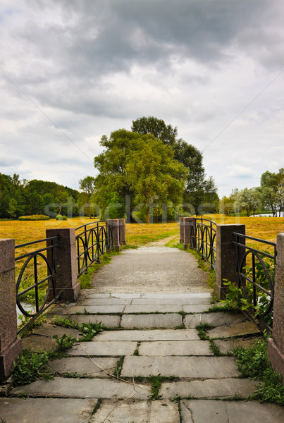 stone bridge to meadow Stock photo © PetrMalyshev