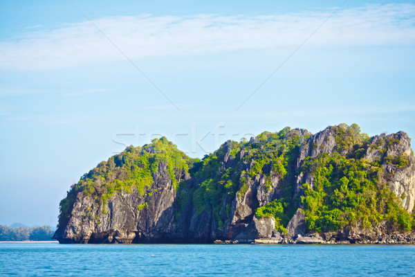 Andaman Sea Shore Stock photo © PetrMalyshev