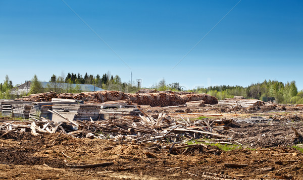 Kereste depo ağaç arka plan enerji Stok fotoğraf © PetrMalyshev