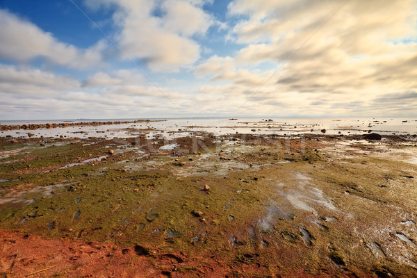 Zdjęcia stock: Globalne · ocieplenie · wyschnięcia · ocean · mętny · niebo · wygaśnięcia