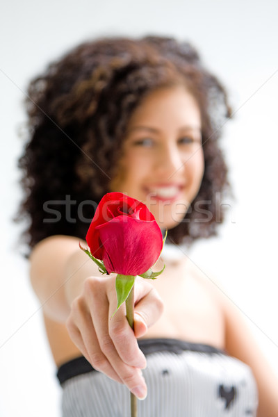 Presenting red rose Stock photo © phakimata