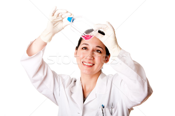 Female scientist looking at tissue culture flask Stock photo © phakimata