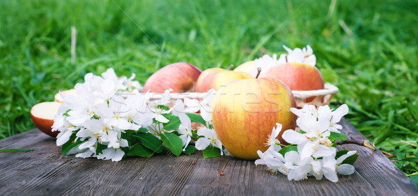 apple and flowers on a blackboard Stock photo © Phantom1311