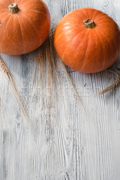 pumpkin on a wooden shaded background Stock photo © Phantom1311