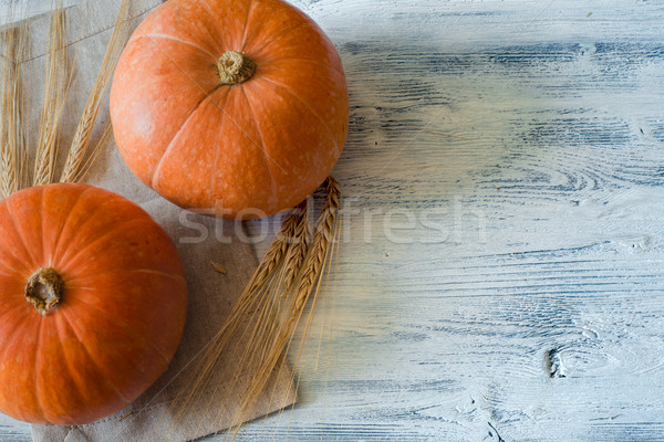 pumpkin on a wooden shaded background Stock photo © Phantom1311