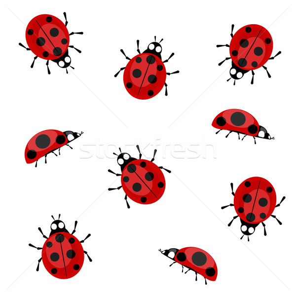 Stock photo: Ladybugs on a white background