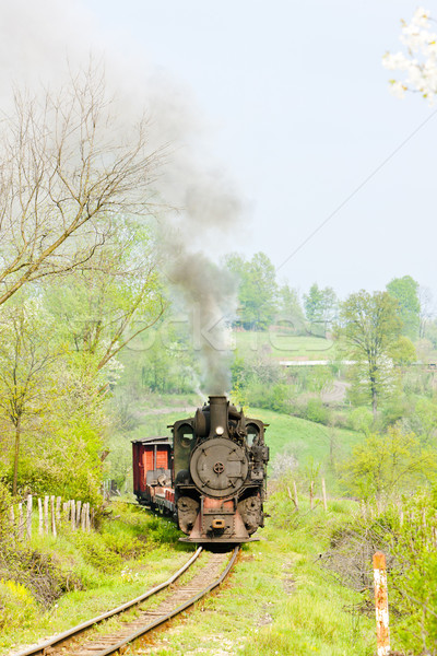 Ingust feroviar tren abur în aer liber Imagine de stoc © phbcz