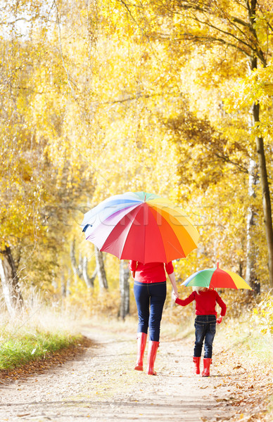 Stock fotó: Anya · lánygyermek · esernyők · őszi · sikátor · nő