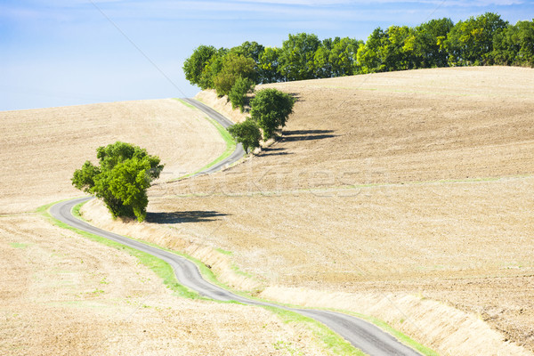 field with a road, Gers Department, France Stock photo © phbcz