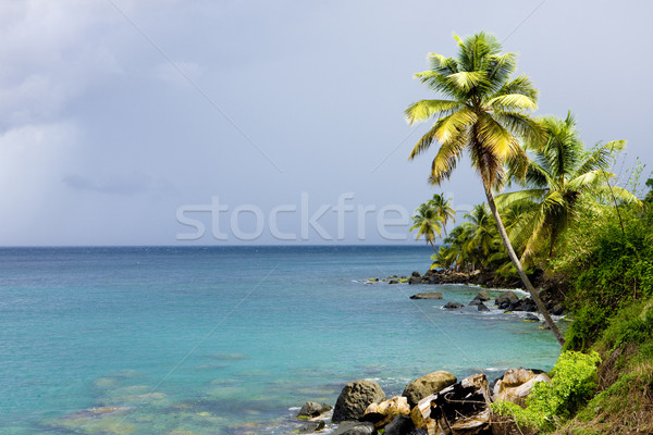 Crayfish Bay, Grenada Stock photo © phbcz