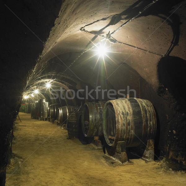 Weinkeller Weingut Tschechische Republik Tank Barrel drinnen Stock foto © phbcz