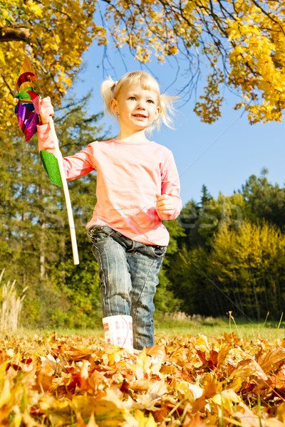 little girl holding a vane Stock photo © phbcz