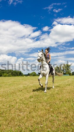 馬背 女子 動物 年輕 馬匹 商業照片 © phbcz