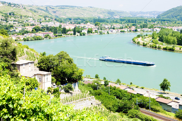 vineyard of Chateau Grillet, Rhone-Alpes, France Stock photo © phbcz