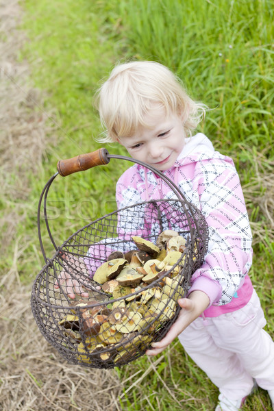 little girl with basket of mushrooms Stock photo © phbcz