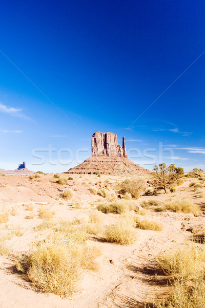 The Mitten, Monument Valley National Park, Utah-Arizona, USA Stock photo © phbcz