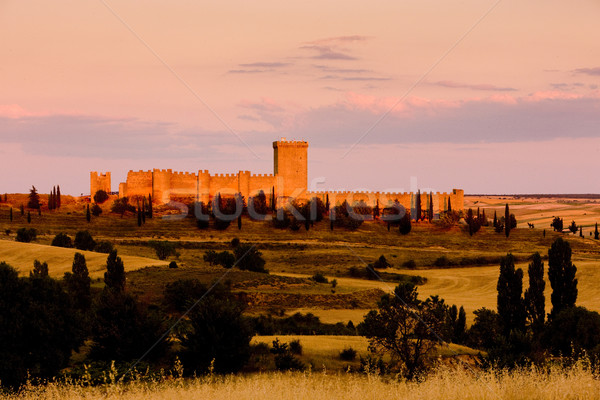 Penaranda de Duero Castle, Burgos Province, Castile and Leon, Sp Stock photo © phbcz