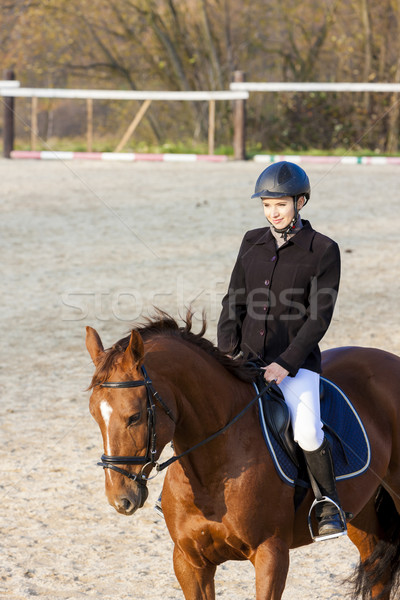 верхом женщины лошади молодые животного Сток-фото © phbcz