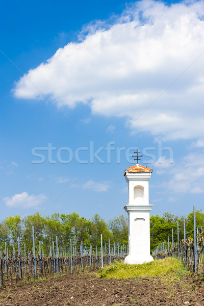 God's torture with vineyard near Palava, Czech Republic Stock photo © phbcz