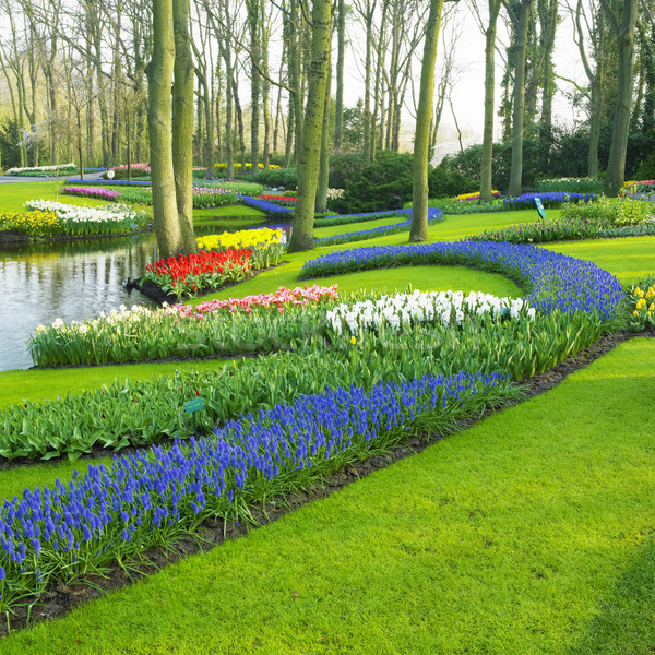 Keukenhof Gardens, Lisse, Netherlands Stock photo © phbcz