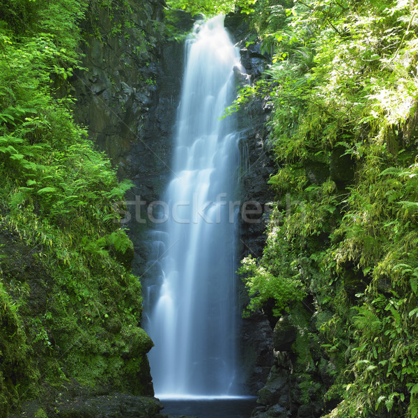 Cranny Falls, County Antrim, Northern Ireland Stock photo © phbcz