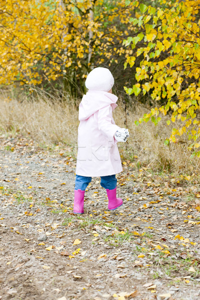 little girl in autumnal nature Stock photo © phbcz
