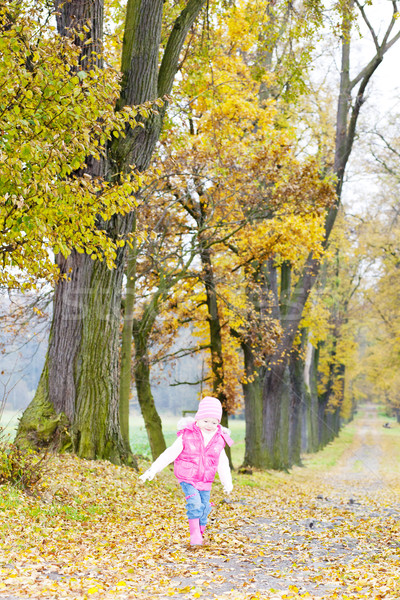 little girl in autumnal alley Stock photo © phbcz