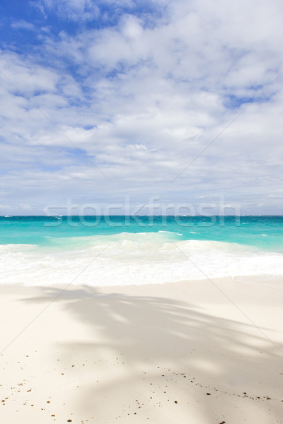 Zdjęcia stock: Dolny · Barbados · Karaibów · krajobraz · morza · raj