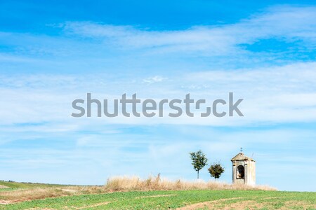 God's torture with sunflower field and Jaroslavice Castle, Czec Stock photo © phbcz