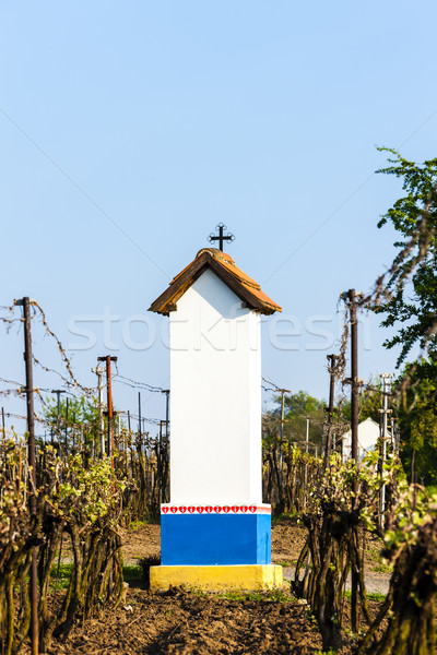 Kínzás szőlőskert Csehország épület építészet Európa Stock fotó © phbcz