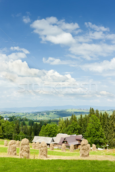 landscape of Tatras near Zakopane, Poland Stock photo © phbcz