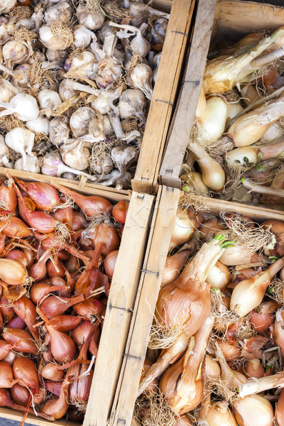 Stock photo: onions and garlics, market in Forcalquier, Provence, France