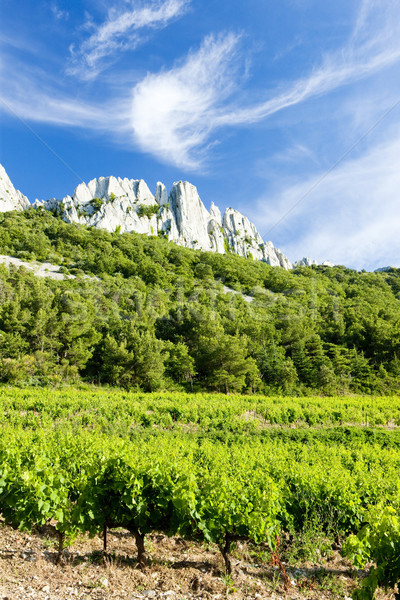 vineyards near Gigondas at Col Du Cayron, Provence, France Stock photo © phbcz